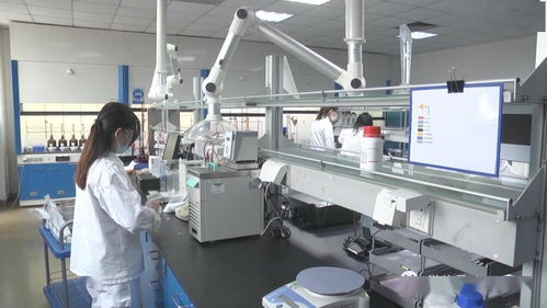 小區毗鄰食品廠，居民憂心互聯網食品銷售安全